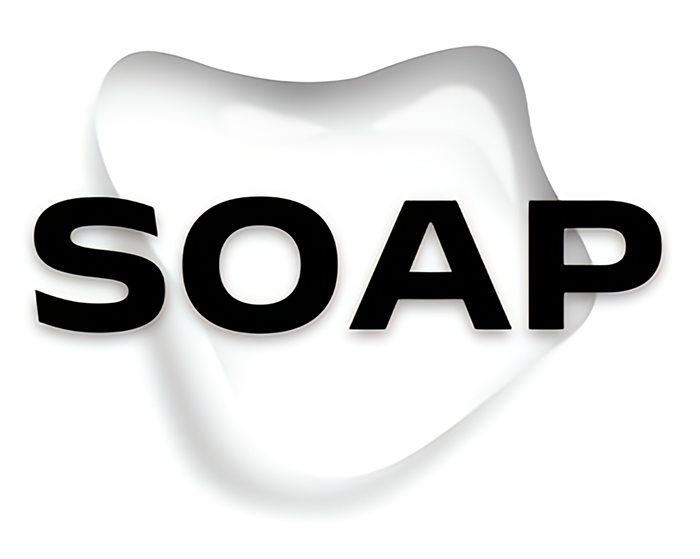 THESOAP 로고